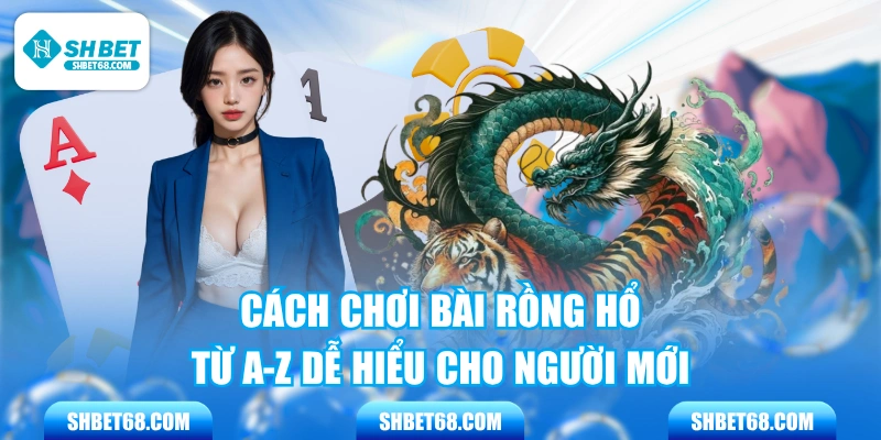 Cách Chơi Bài Rồng Hổ Từ A-Z Dễ Hiểu Cho Người Mới